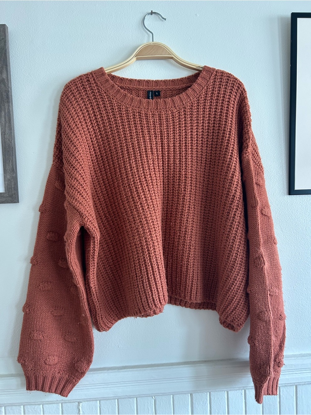 Women's Cozy Chunky Knit Sweater - Rust